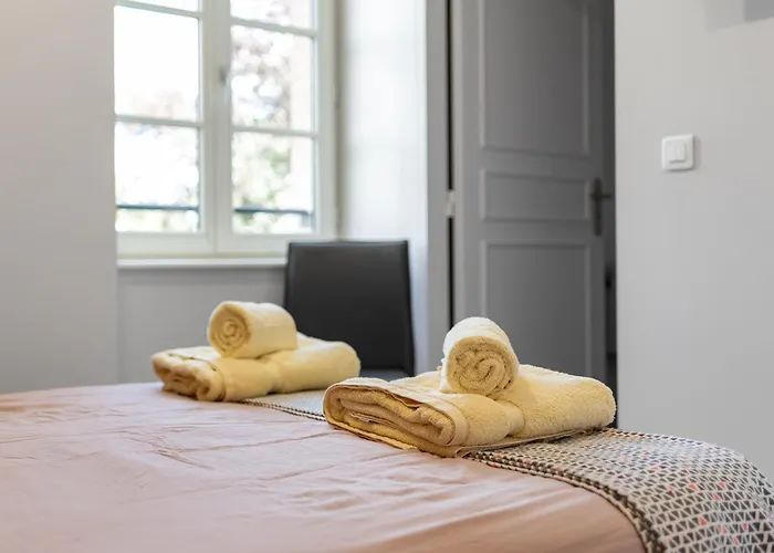 -maison Calmels-pmr-7 Et 7 Sdb - Proche Albi